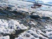 249 Plein d eau douce