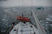 000 Arrivee Inglefieldbukta