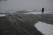 017 Marche dans la tempete