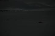 044 La lune illumine Inglefieldbukta
