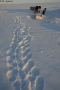 119 Apprendre a marcher dans la neige