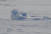 261 Vestiges du trone de glace