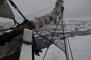 289 Trop de glaces devant Albarquel