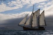 294 Albarquel sous voiles vers Svea 3