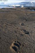 345 Traces d un curieux