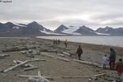 060 Certains troncs vieux de 7000 ans