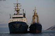 008 Rencontre en mer