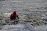 020 Glace fragile le long de la berge