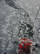 025 Briser la glace2