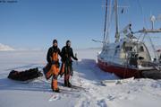 264 Skieurs norvegiens
