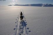 267 En suivant la trace des skieurs