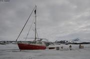446 La-bas la mer libre de glace