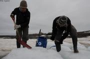 484 Soifran Piem collecte glace