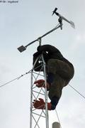 498 Des pieds et des mains mat meteo
