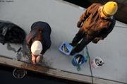 095 France prepare poissons pour hivernage