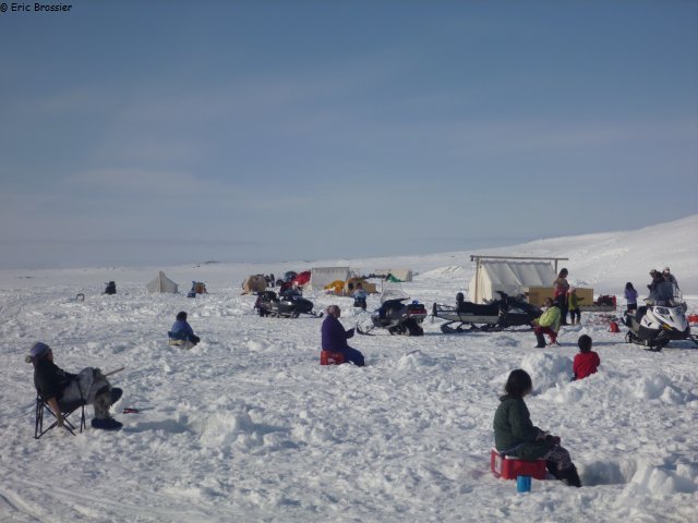 689 La majorite des habitants de Grise Fiord participent au Fishing Derby