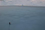 Marcher sur la fine glace