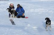 Preparatifs ski chiens