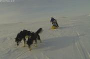 Petite rando ski kayak chiens