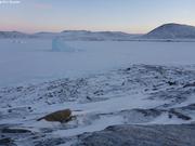 Icebergs devant Qikiqtarjuaq