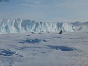 En longeant l'ile de glace