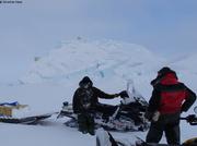 Observation d un couple d ours sur iceberg