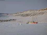 Vagabond non loin de Arctic Bay ©France Pinczon du Sel