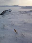 20200321a Solitude baie d Arctic Bay ©France Pinczon du Sel