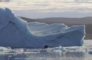 Cineastes approchent iceberg pres de Qikiqtarjuaq