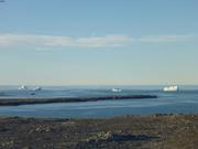 Icebergs au large du cap Sherard ©EB