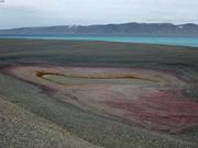 Flaque et algues rouges fjord du Cap Sud ©EB