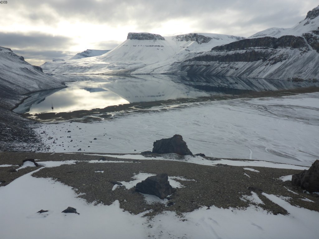 Grise Fiord Vagabond