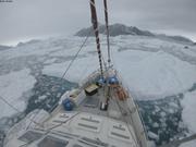Baie Talbot proche glacier Trinity ©EB