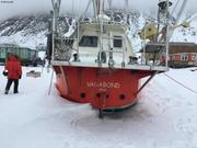 Vagabond hiverne a Grise Fiord©Mike Beedell