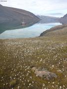 Linaigrettes fjord Starnes©EB