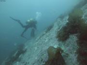 1045 Yves collecte coralline Tiriqqualuk©EB