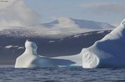 Iceberg devant Mont Bruce ile Baffin©EB