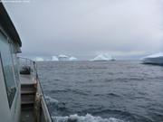 Champ d icebergs