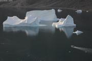 Vers icebergs