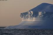 Pure iceberg