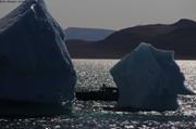 Entre deux icebergs