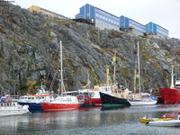 Vagabond a Nuuk