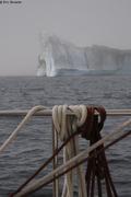 Iceberg dans la brume