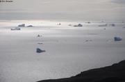 Icebergs dans le fjord d Uummannaq