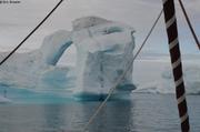 Beaucoup d icebergs sur la cote Est