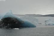 Diversite des icebergs du Sermilik