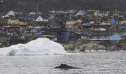 Baleine devant Ilulissat©EB