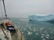 Brash brume et iceberg Talbot Inlet