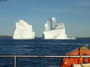 Beaucoup d icebergs le long des cotes du Labrador