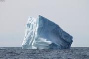 Iceberg en mer du Labrador©Minoli Dias